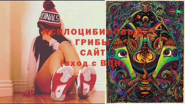метадон Каменногорск