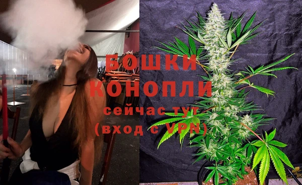 спайс Инта