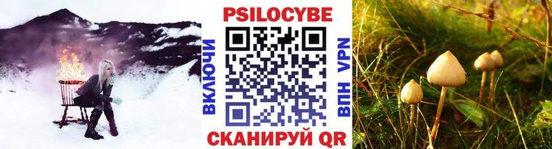 Галлюциногенные грибы прущие грибы  Купить закладки  Верея 